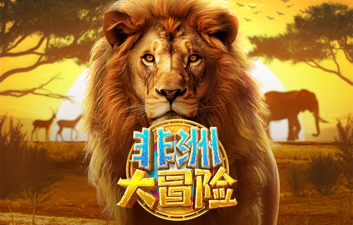 k体育官网入口登录