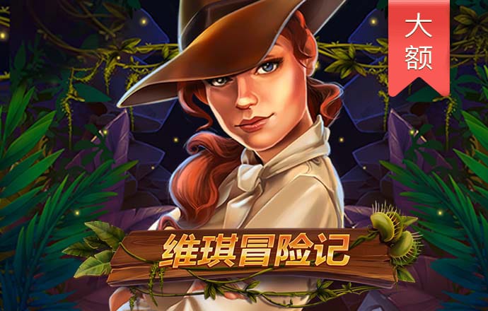 加拿大28